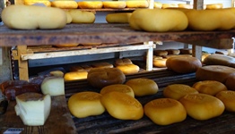 Menorca Cheese Museum