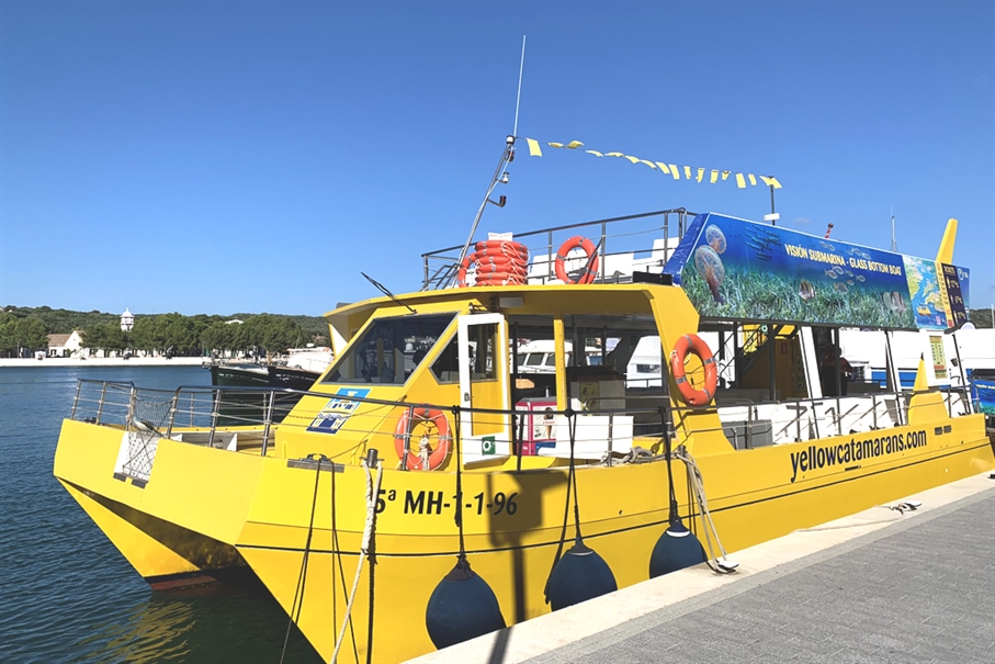 Yellow Catamarans