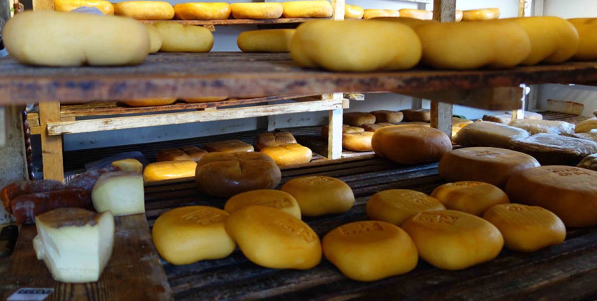 Menorca Cheese Museum