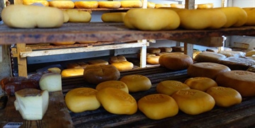 Menorca Cheese Museum