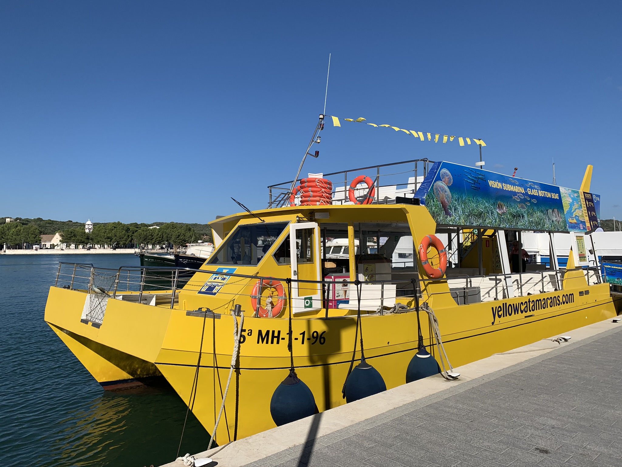 Yellow Catamarans