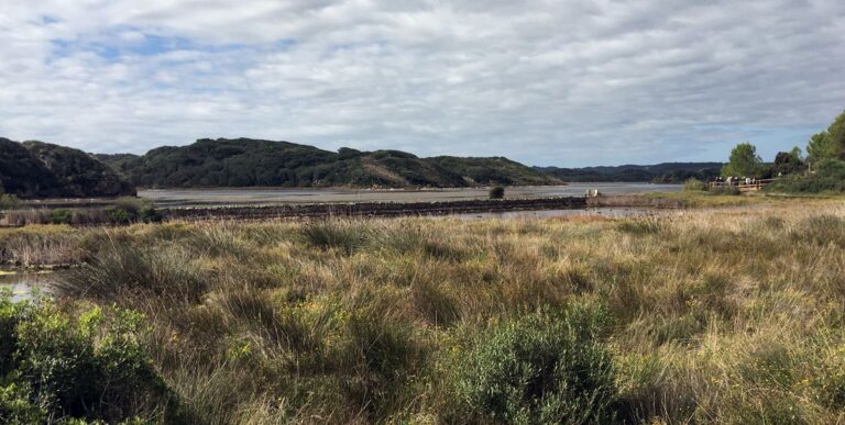 S’Albufera National Park