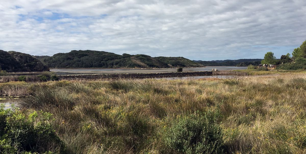 S’Albufera National Park