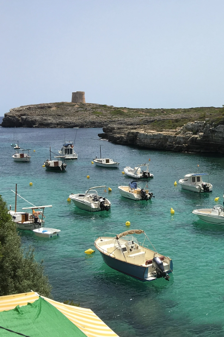 Boats in the harbour