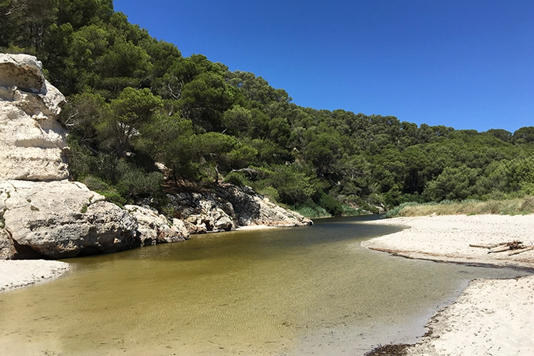 The small rivers behind the beach that flows into the sea