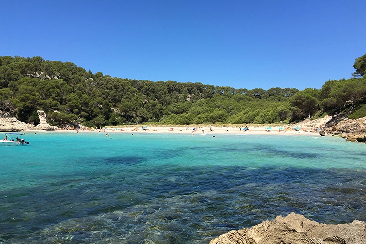 Pine-clad backdrop to the Cala Trebalúger beach