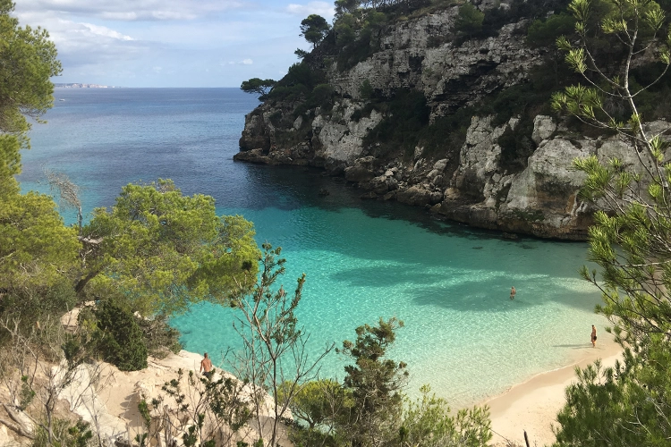 A view looking out to sea on the walk to the beach