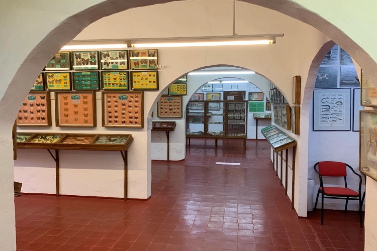 1st floor in the natural science museum