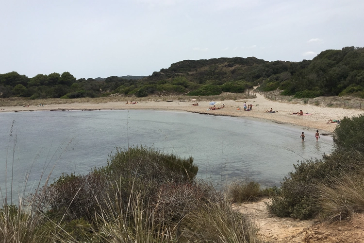 Es Grau beach looking south