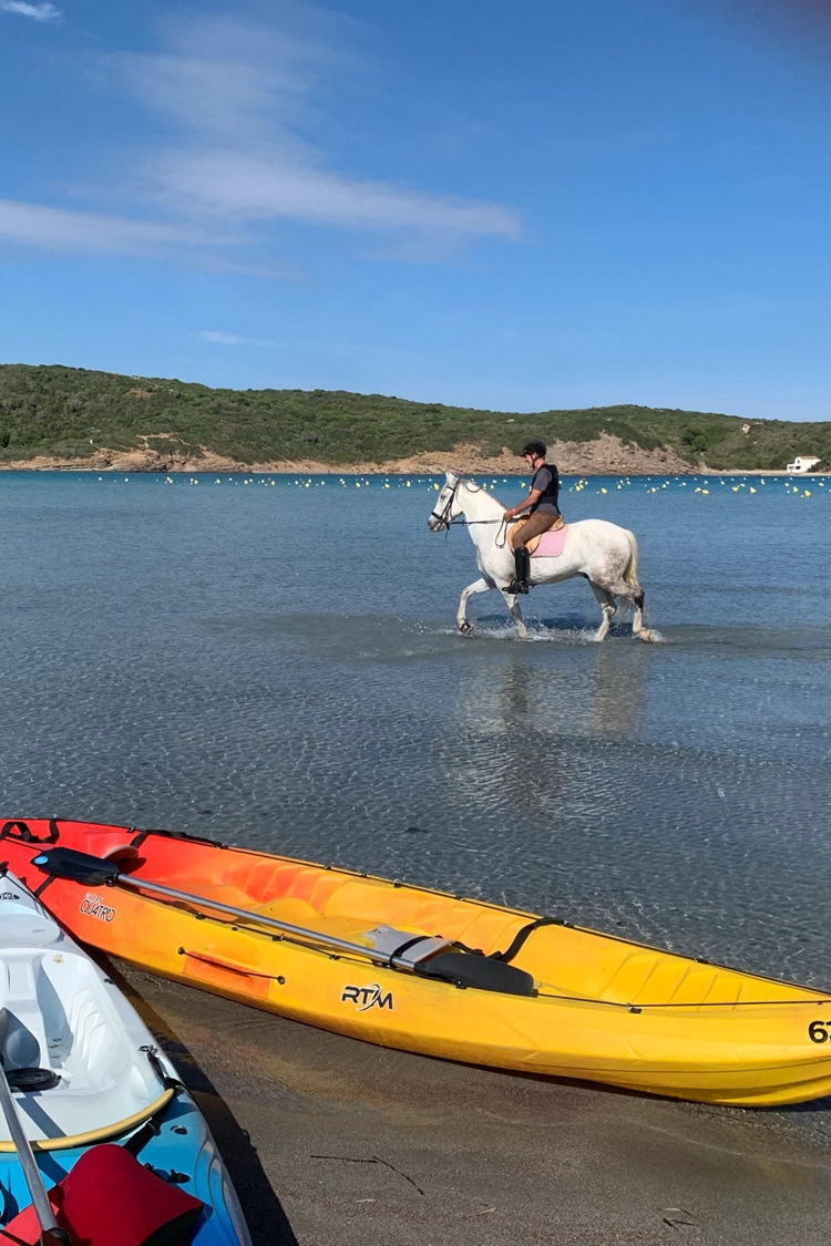 Kayaking and horse riding at Es Grau beach