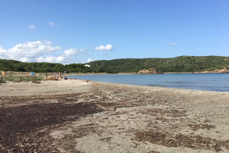 Es Grau Beach