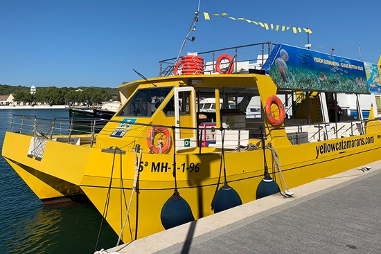 Yellow Catamarans, Mahon